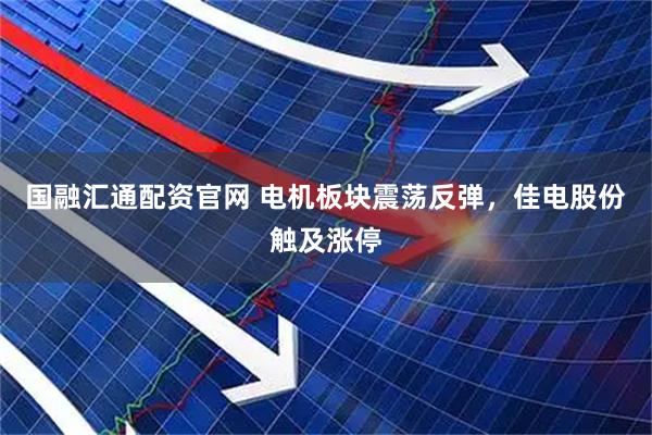 国融汇通配资官网 电机板块震荡反弹，佳电股份触及涨停